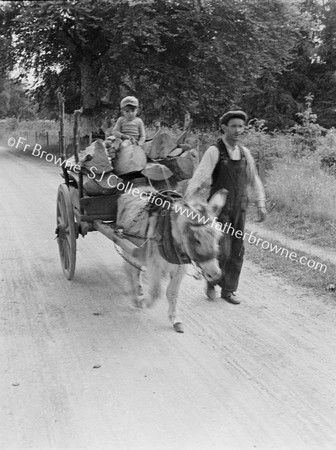 DONKEY AND CART